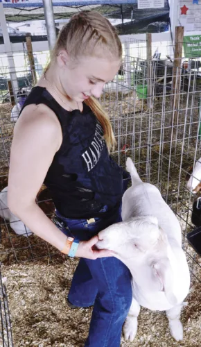 Fair fosters youth